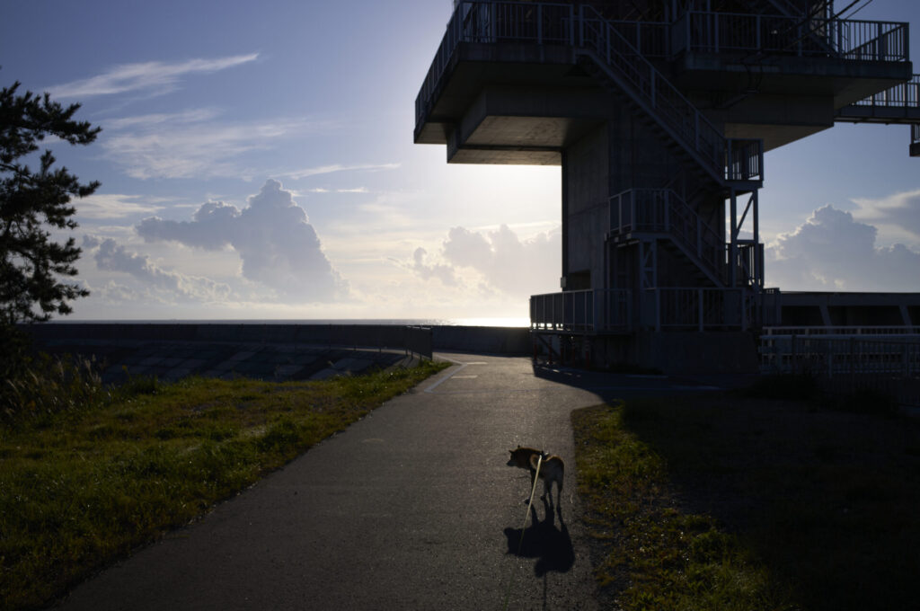 Leica Summilux-M 35/f1.4 ASPH. Leica M 11