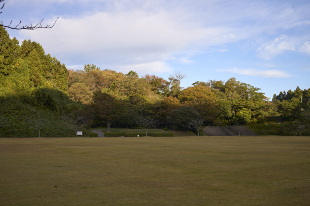 Leica Summilux-M 35/f1.4 ASPH. Leica M 11