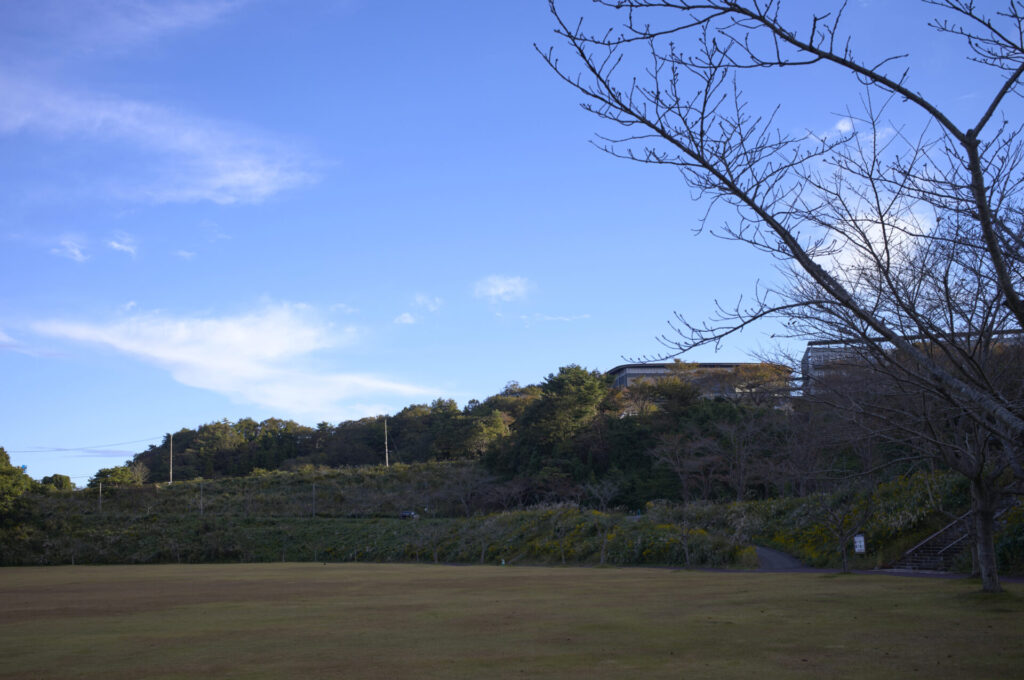 Leica Summilux-M 35/f1.4 ASPH. Leica M 11